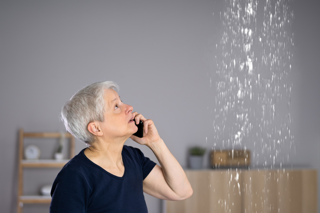 water damage cleanup bellevue wa