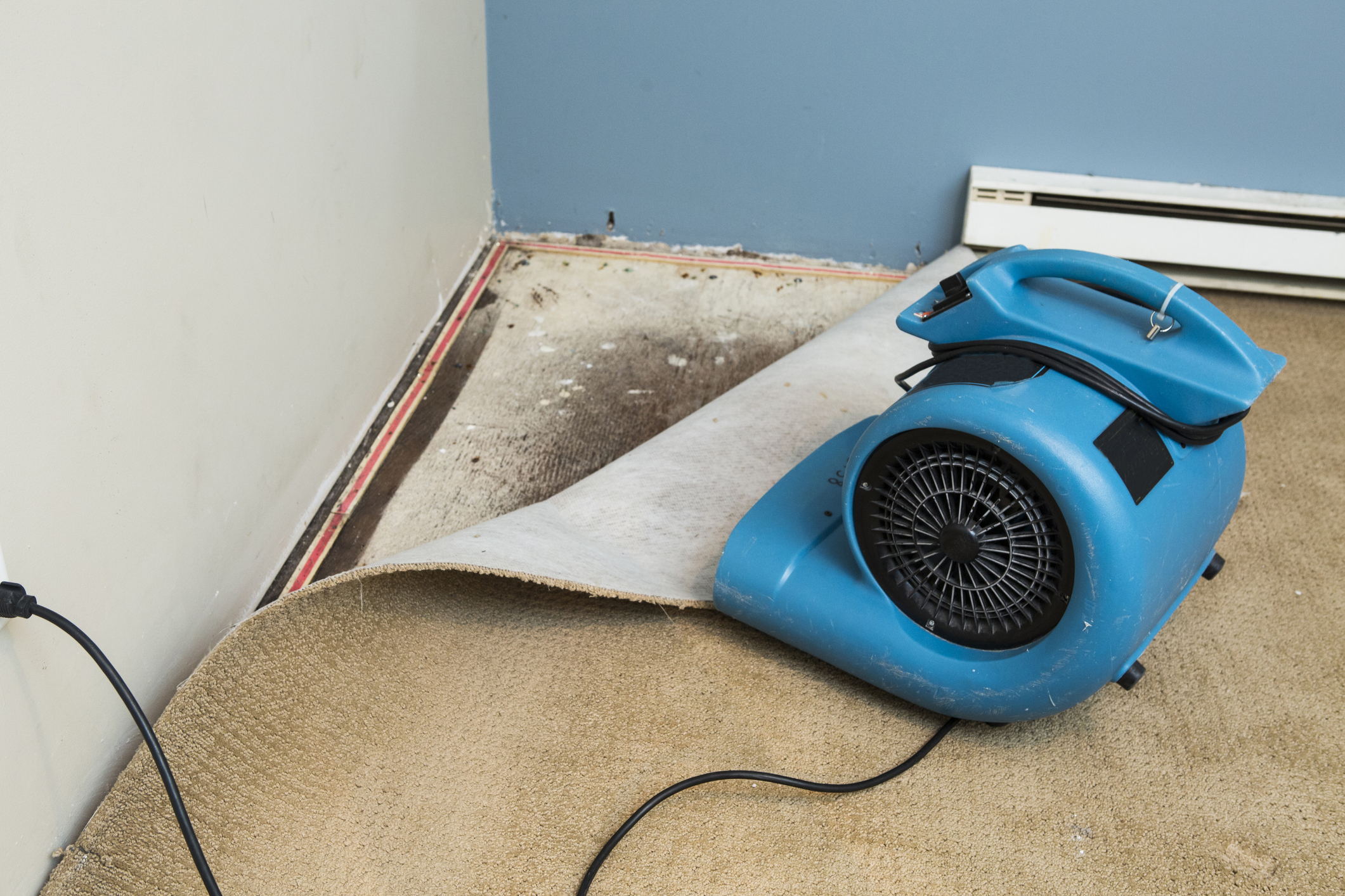https://www.bobvila.com/articles/signs-of-water-damage-in-walls/