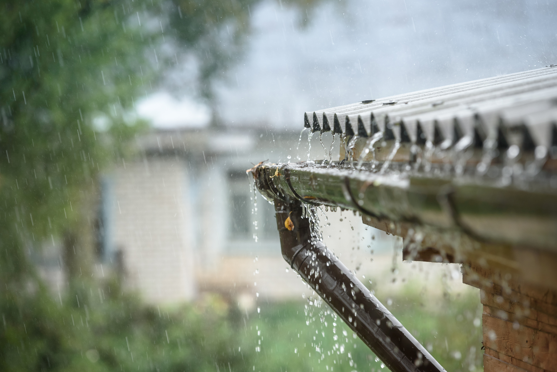 water damage restoration bellevue wa