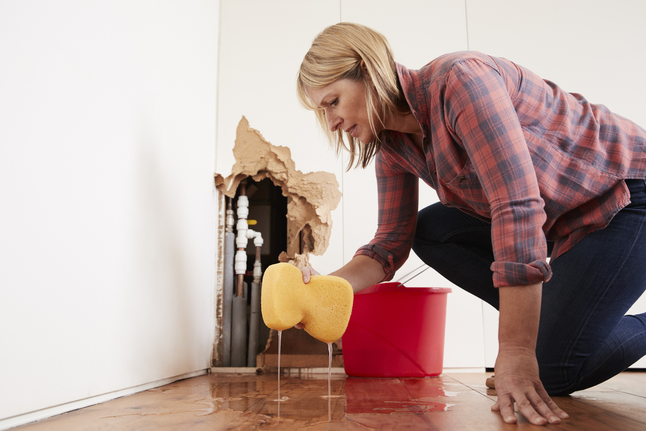 water damage restoration bellevue wa