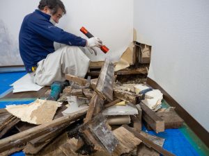 water damage restoration bellevue wa